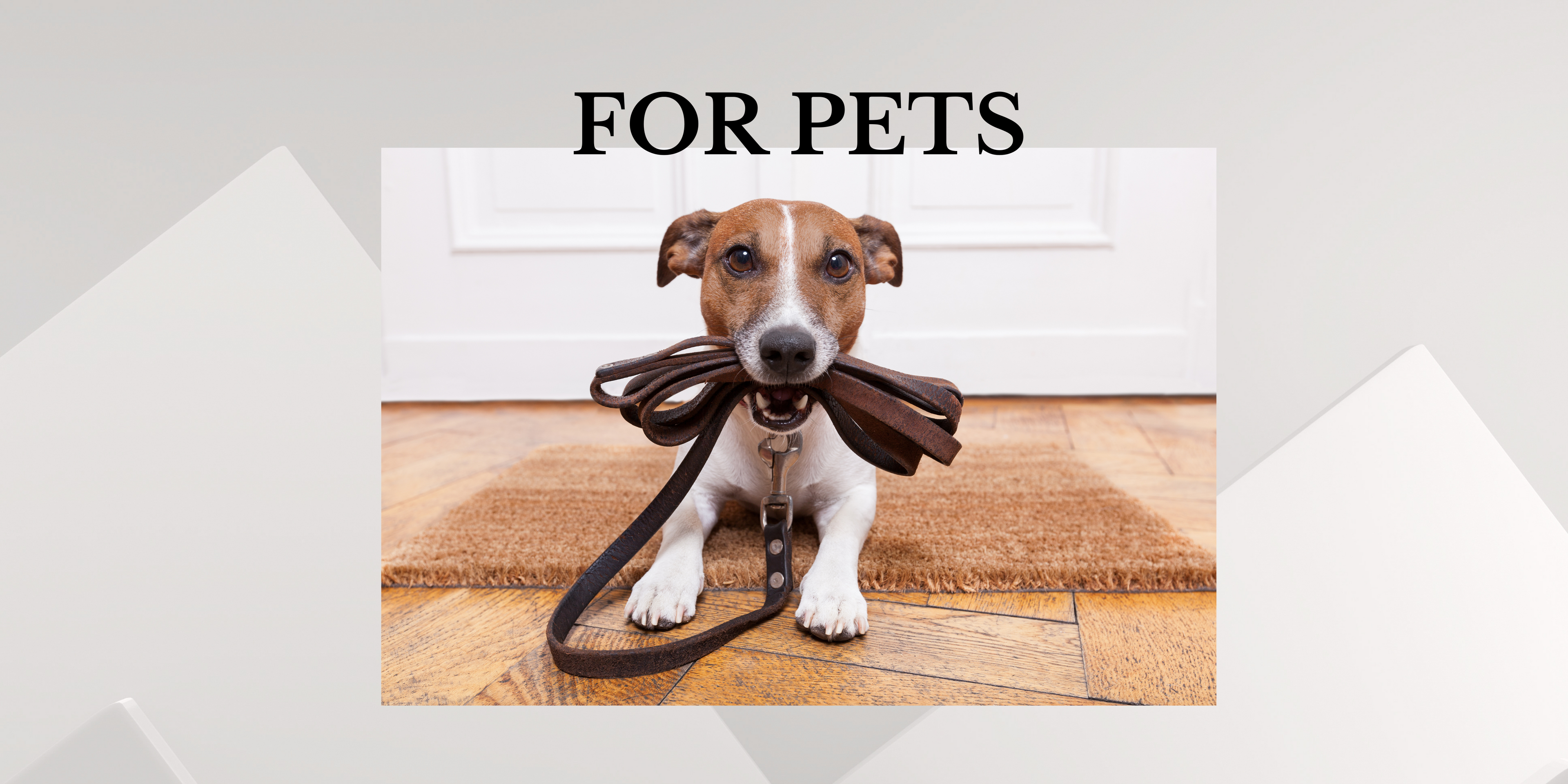Leather Accessories for Pets